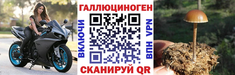 Псилоцибиновые грибы MAGIC MUSHROOMS  Новосиль 